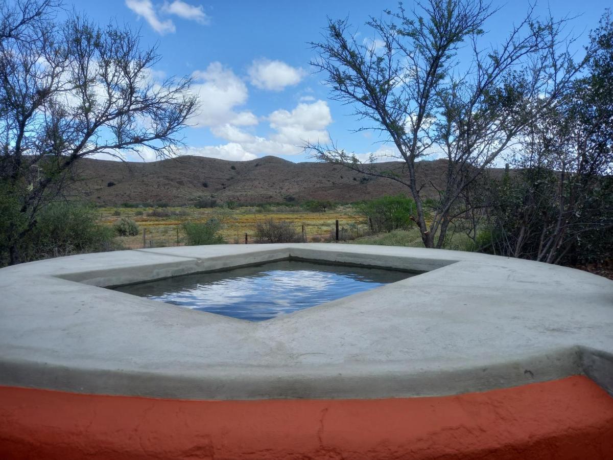 Wolverfontein Karoo Cottages Ladismith Ngoại thất bức ảnh