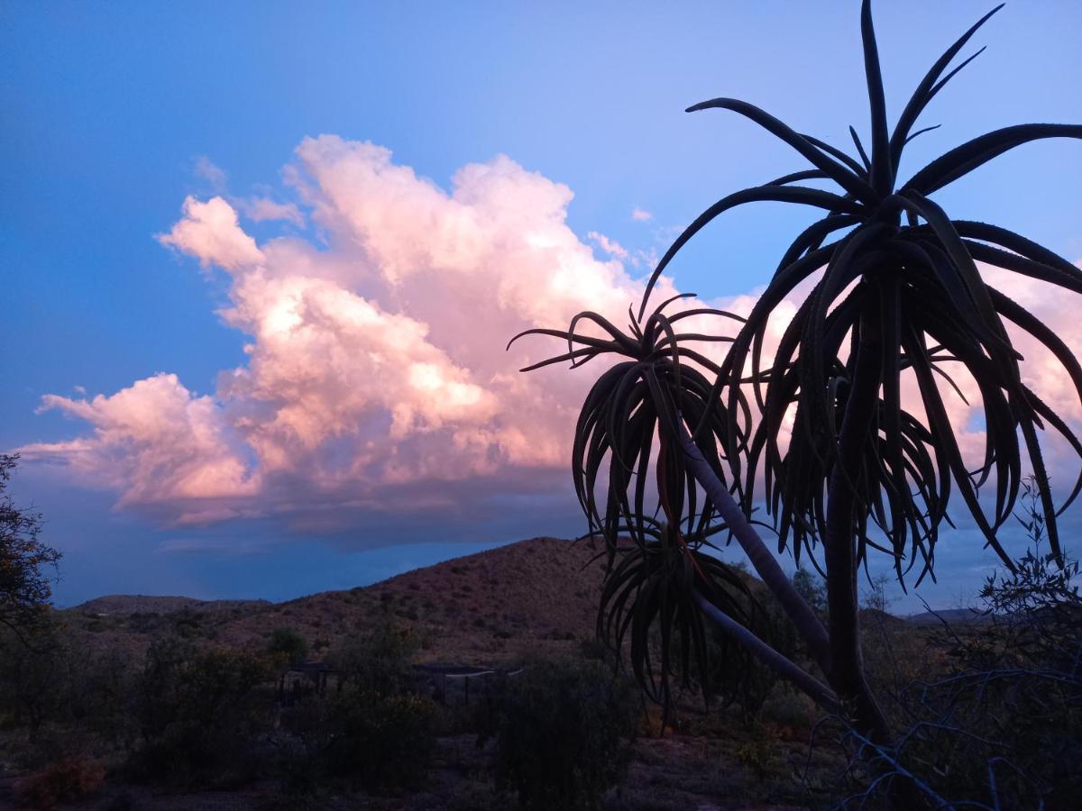 Wolverfontein Karoo Cottages Ladismith Ngoại thất bức ảnh