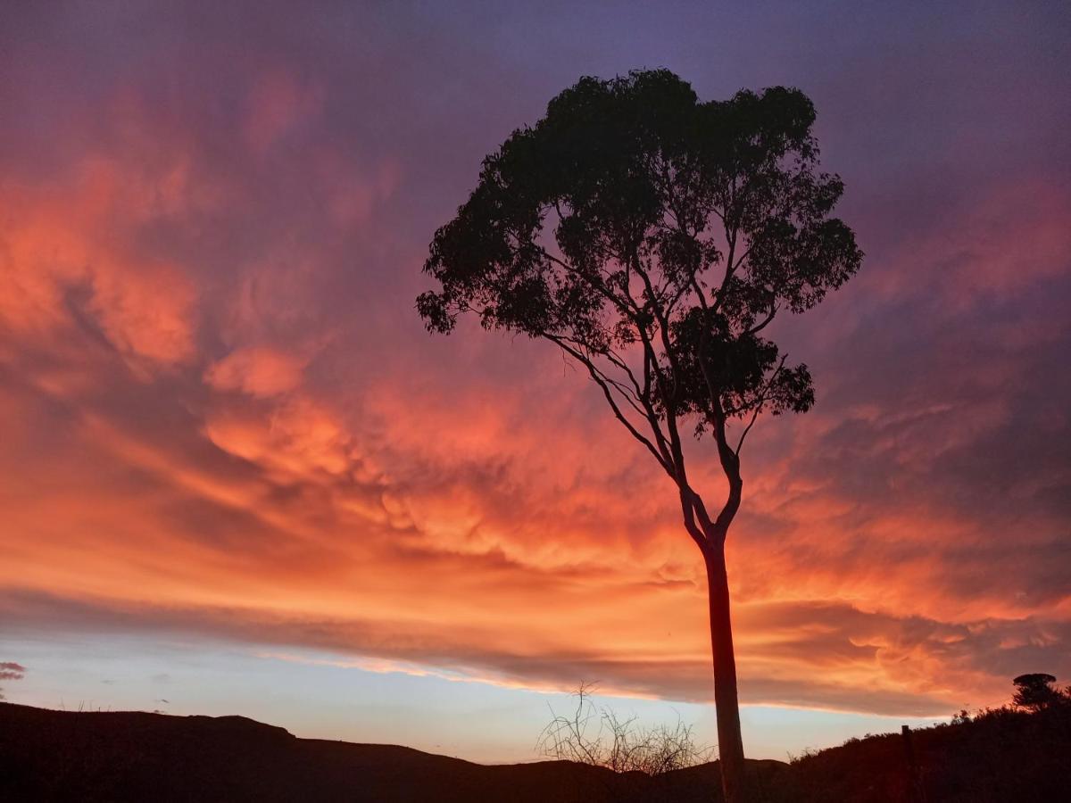 Wolverfontein Karoo Cottages Ladismith Ngoại thất bức ảnh
