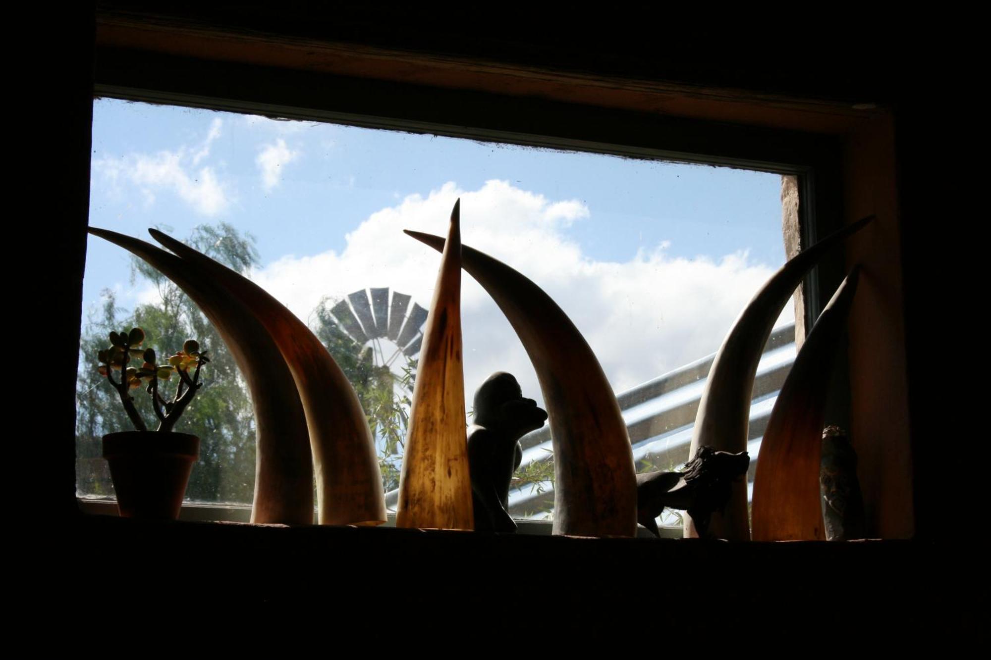 Wolverfontein Karoo Cottages Ladismith Ngoại thất bức ảnh
