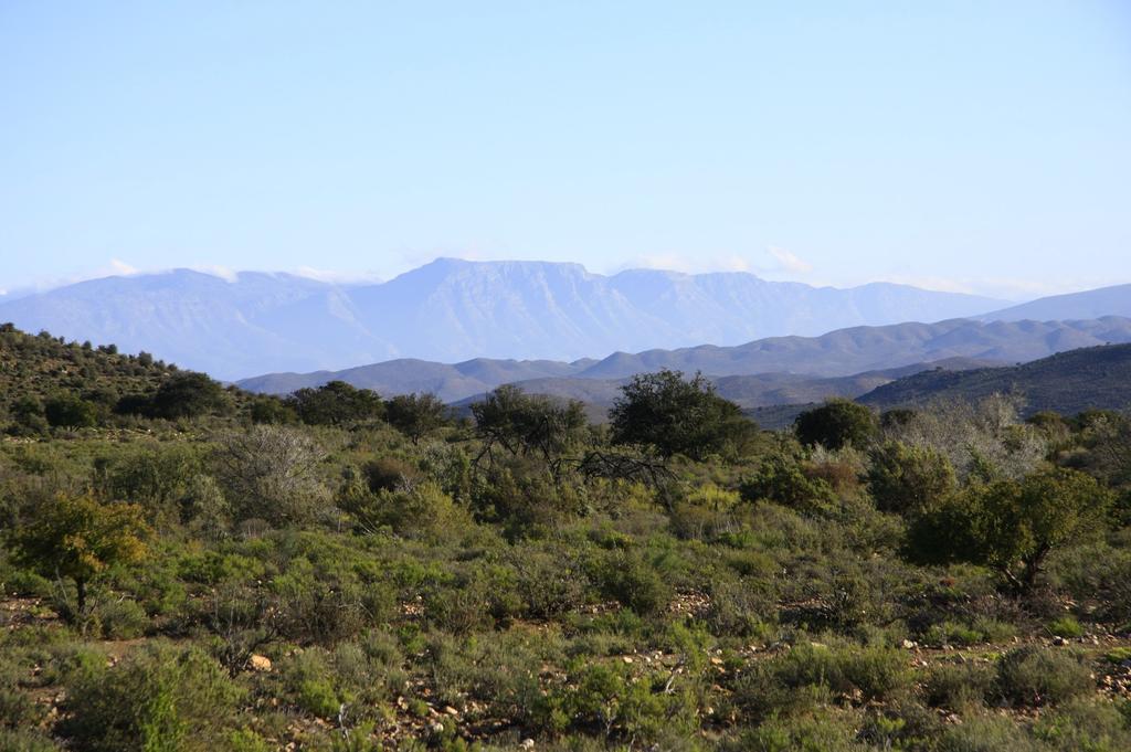 Wolverfontein Karoo Cottages Ladismith Ngoại thất bức ảnh